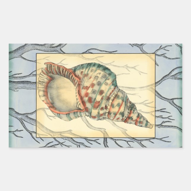 Seashell and Tree Branches Sticker (Front)