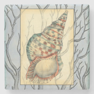 Seashell and Tree Branches Stone Coaster