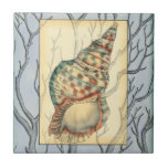 Seashell and Tree Branches Tile<br><div class="desc">Jennifer Goldberger has an amazing collection of art capturing the gems of the ocean. In this beautiful,  classic nautical painting,  this seashell is the main object with unique tree branches in the background. Get this translucent painting on your favourite products today!</div>