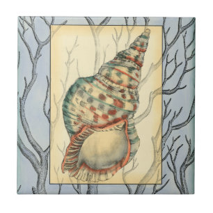 Seashell and Tree Branches Tile