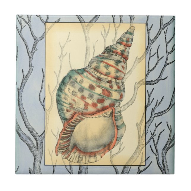 Seashell and Tree Branches Tile (Front)