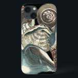 Seashell Anthology iPhone 13 Case<br><div class="desc">This artwork by Vision Studio captures some of the best ocean sea life's. Get this rustic piece of artwork of these different shapes and sizes of Conch shells. This is one unique piece of artwork of these Seashell Anthology pieces.</div>