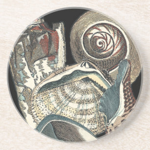 Seashell Anthology Coaster