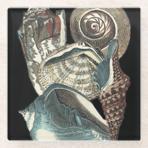 Seashell Anthology Glass Coaster