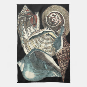 Seashell Anthology Kitchen Towel