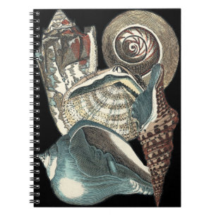 Seashell Anthology Notebook