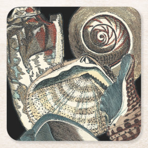 Seashell Anthology Square Paper Coaster