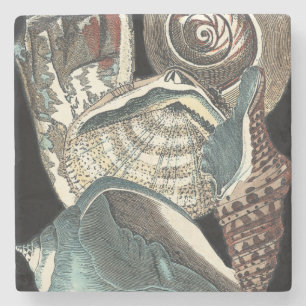 Seashell Anthology Stone Coaster