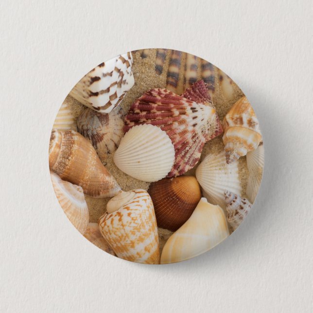 Seashell Arrangement 2 Inch Round Button (Front)