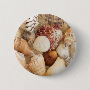 Seashell Arrangement 2 Inch Round Button