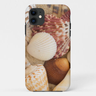 Seashell Arrangement iPhone 11 Case