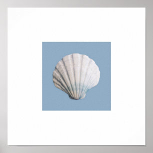 Seashell art print
