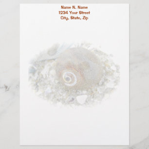 Seashell at Low Tide Coordinating Items Letterhead