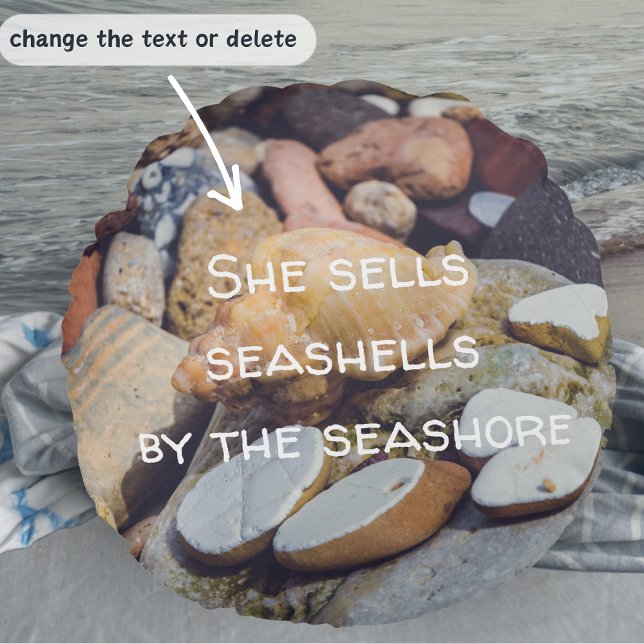 Seashell at the Seashore Round Pillow (Creator Uploaded)