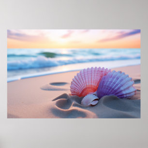 Seashell Beach Nature Serene Tranquil Poster