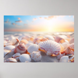 Seashell Beach Nature Serene Tranquil Poster