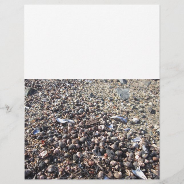 Seashell Beach Ocean Boarder Book of Shadow pages (Front)