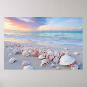 Seashell Beach Tranquil Peaceful Nature Poster