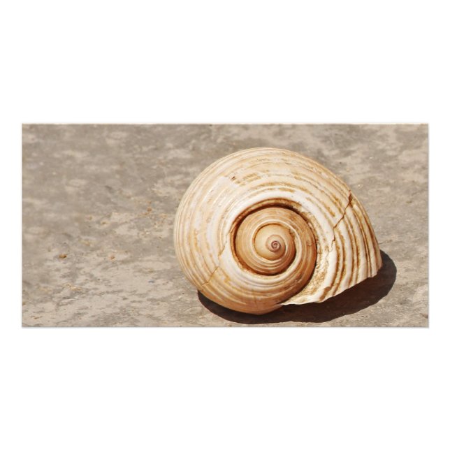Seashell Card (Front)