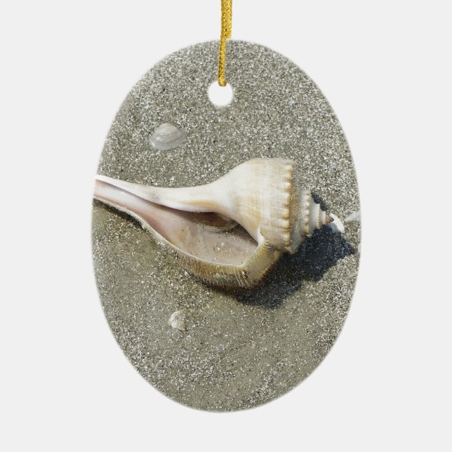 Seashell Ceramic Ornament (Front)