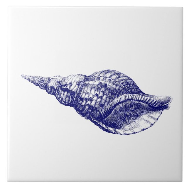 Seashell Charonia Tritonis Blue & White Tile (Front)