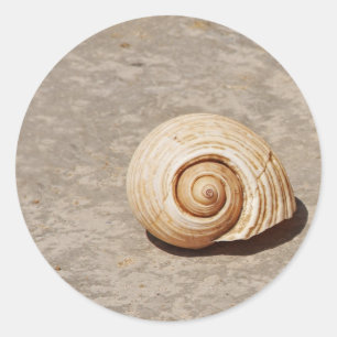 SeaShell Classic Round Sticker