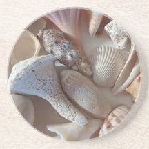 Seashell Coaster