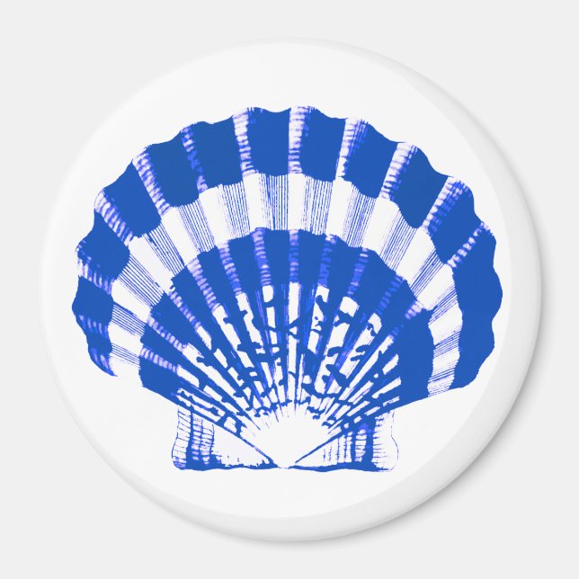 Seashell - cobalt blue and white magnet (Front)