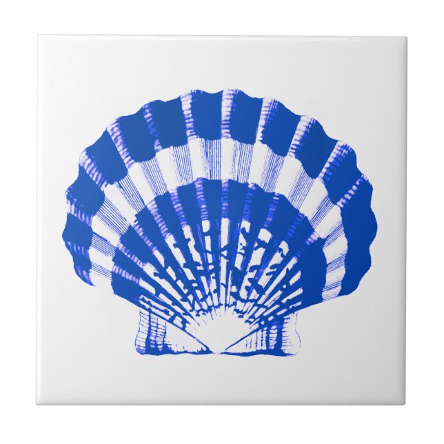 Seashell - cobalt blue and white tile (Front)