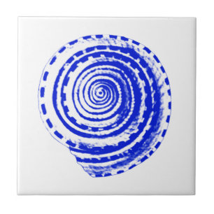 Seashell - cobalt blue and white tile