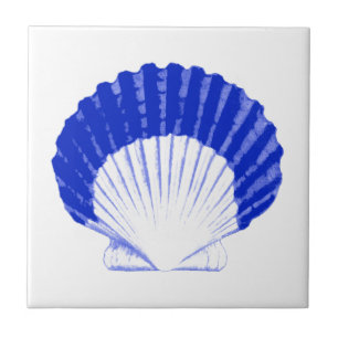 Seashell - cobalt blue and white tile