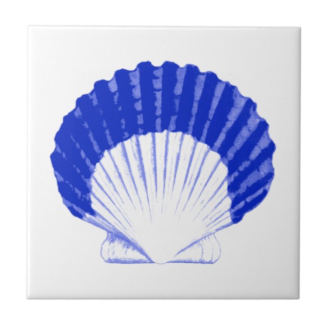 Seashell - cobalt blue and white tile (Front)