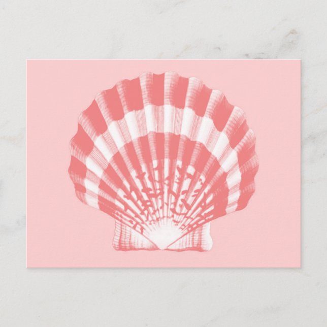 Seashell - coral pink and white postcard (Front)