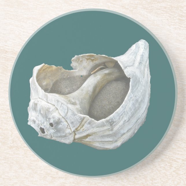 Seashell - Customize Choose your background colour Coaster (Front)