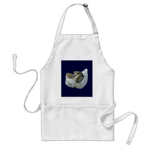 Seashell - Customize Choose your background colour Standard Apron