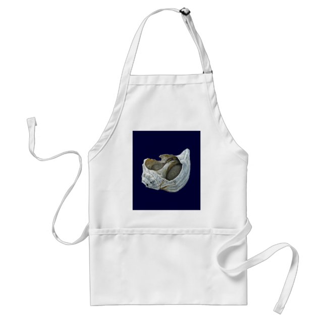 Seashell - Customize Choose your background colour Standard Apron (Front)