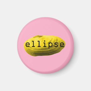 Seashell. Ellipse Magnet