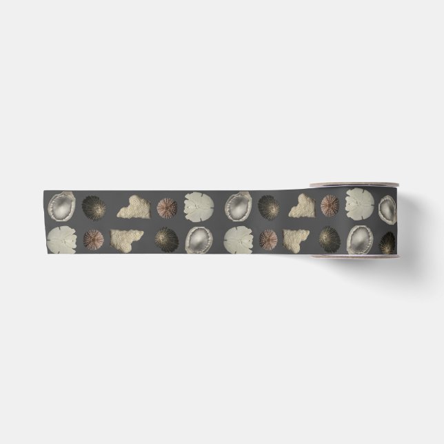 SeaShell Extravaganza  Satin Ribbon (Front)