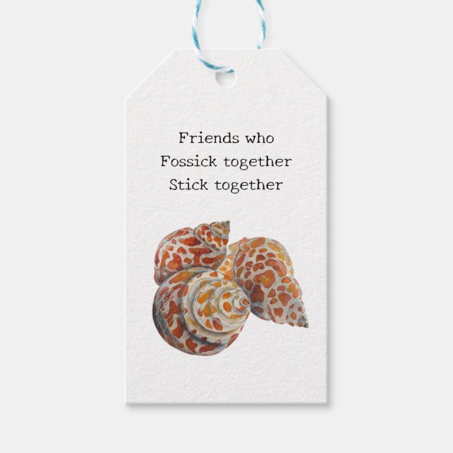 Seashell/Fossickers  Gift Tags (Front)