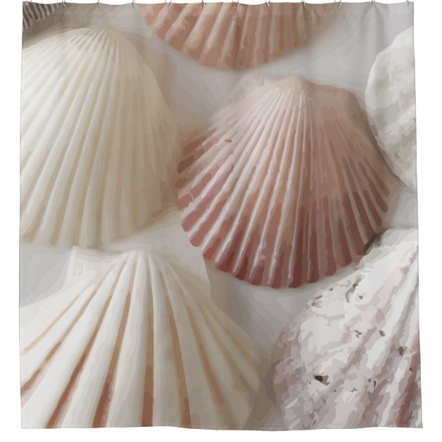 Seashell Graphics (Front)