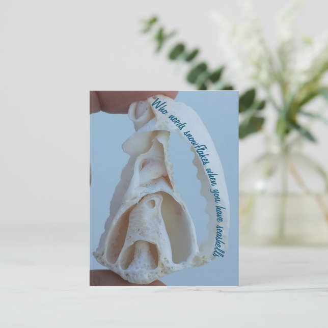 Seashell holiday postcard (Standing Front)