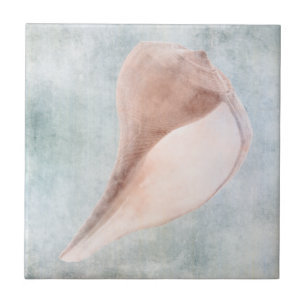 Seashell in Cream and Coastal Blue Pastel Tile