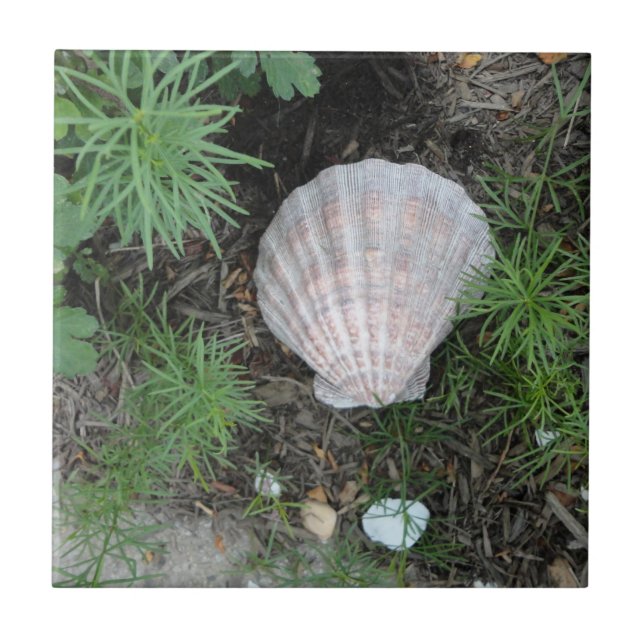 Seashell in Garden Tile (Front)