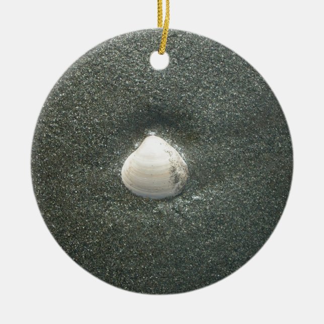 Seashell in the Sand: A Salty Souvenir Ceramic Ornament (Front)