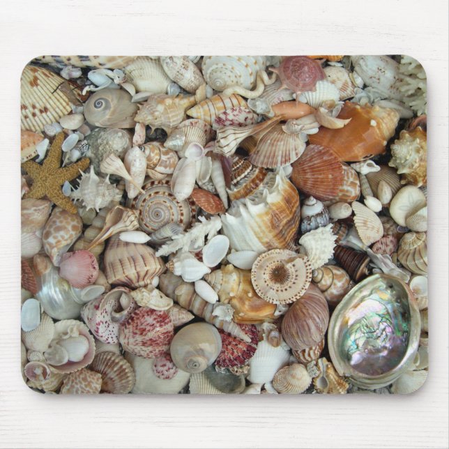Seashell Mousepad (Front)