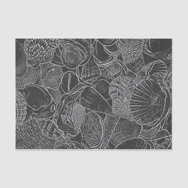 Seashell Ocean Beach Black And White Sketch Art Tissue Paper (Front)