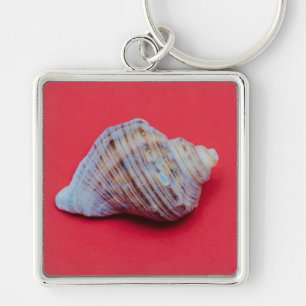 Seashell on a red background keychain