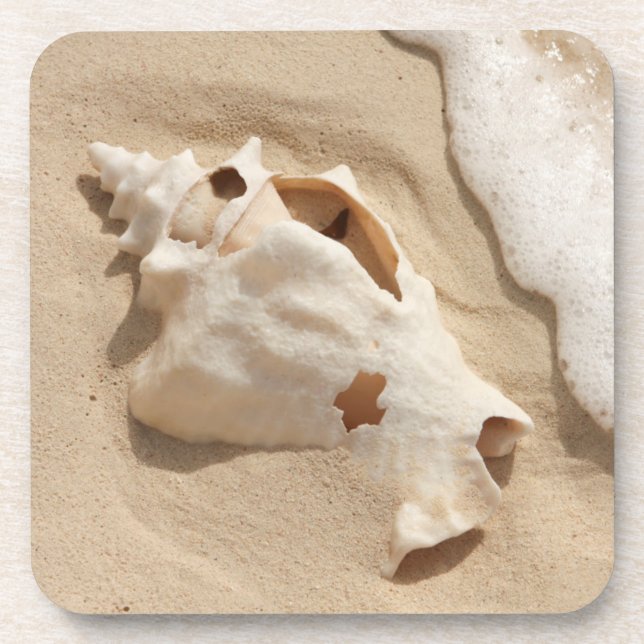 Seashell On Beach | Grand Turk Caribbean Island Coaster (Front)