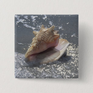 Seashell On Beach Sanibel Island, Florida 2 Inch Square Button