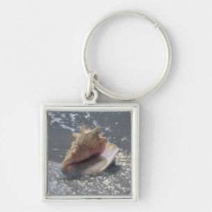 Seashell On Beach   Sanibel Island, Florida Keychain